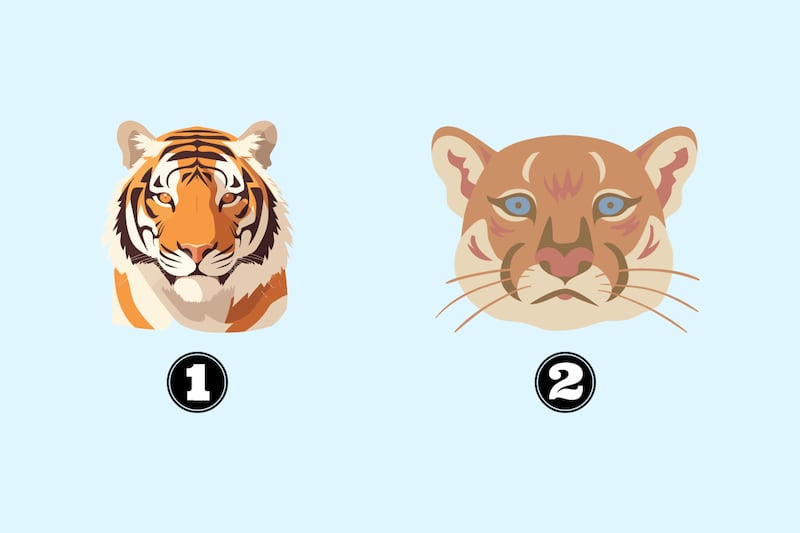 En este test de personalidad debes elegir entre dos opciones: un tigre o un puma.