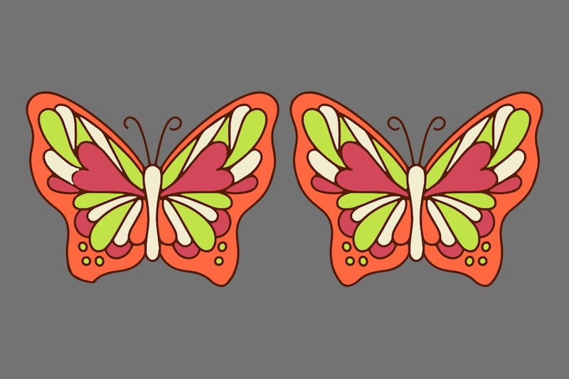 En este test visual hay cuatro diferencias entre dos mariposas que parecen iguales.