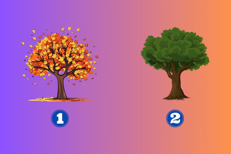 Hay dos opciones en este test de personalidad: un árbol otoñal y un árbol de pleno verano.