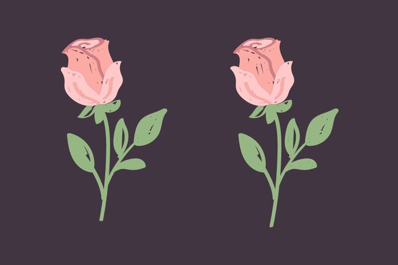 Dos rosas que parecen exactamente iguales, pero tienen 5 diferencias entre ellas.