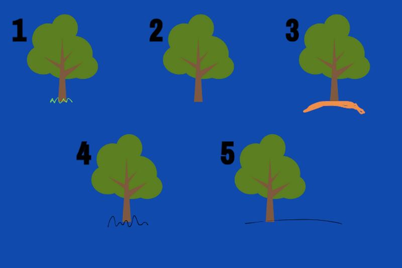 Cinco alternativas en este test de personalidad: césped en el árbol, sin base,  montículo marcado, base redondeada e irregular, y por último, línea firme.