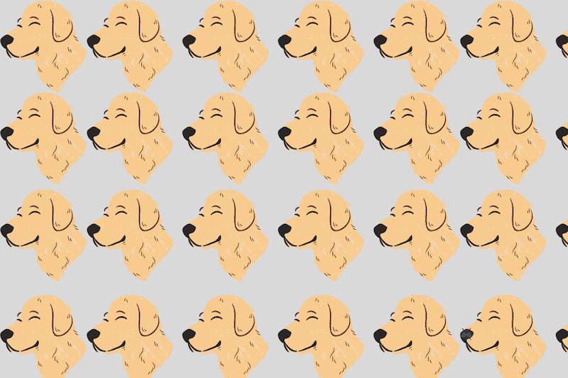 En este Test Visual hay muchos perritos del mismo tamaño y color.