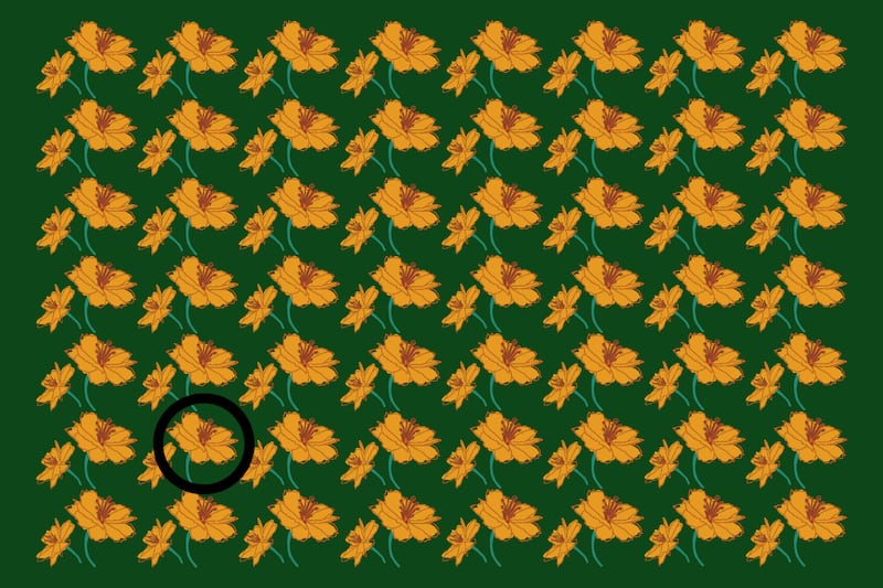 Una imagen de fondo verde, donde se ven decenas de flores amarillas que son iguales, aunque hay una diferente.