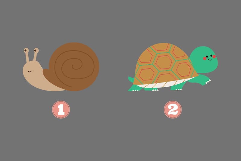 En este test de personalidad hay dos opciones: un caracol y una tortuga.