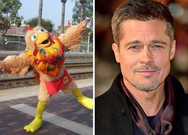 Brad Pitt trabajando como gallina