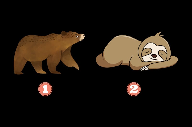 En este test de personalidad hay dos alternativas: un oso común y un oso perezoso.