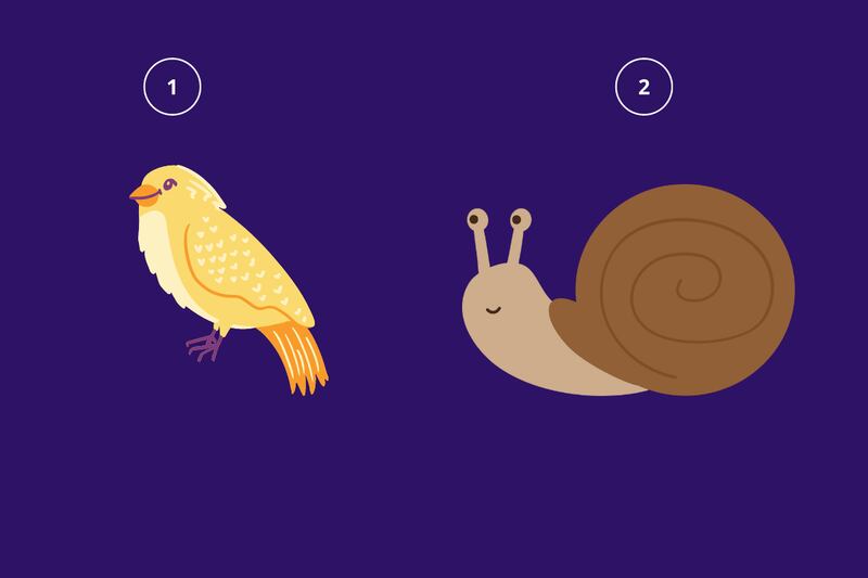 Ilustración de pájaro y caracol.