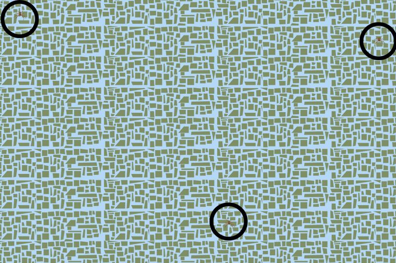 En esta imagen llena de ladrillos se esconden tres arañas, que están señaladas con círculos negros.