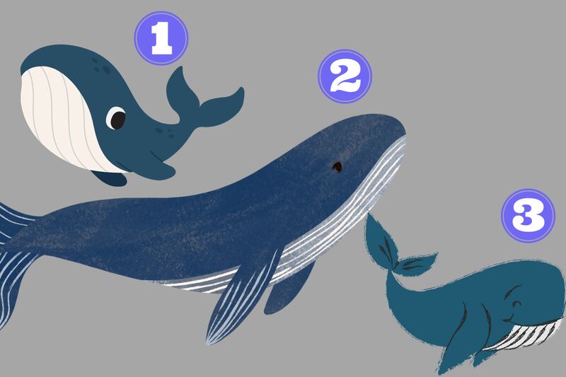 Ilustraciones de ballenas.