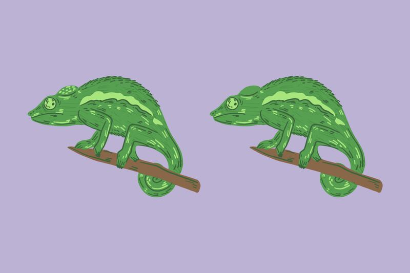 Ilustración de camaleones.